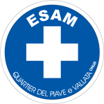 logo_Esam